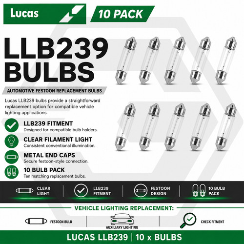 Lampadine festone lucas - x,